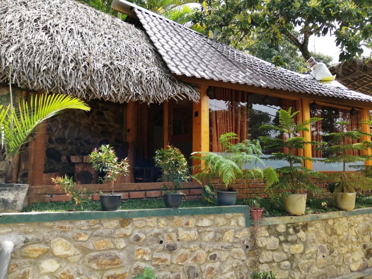 Mc Queen Homestay Ella Esterno foto
